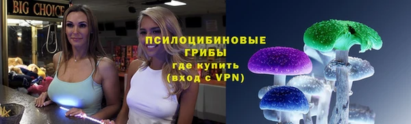 соль ск Липки