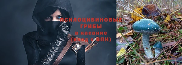 соль ск Липки